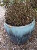 Ceramic Planter