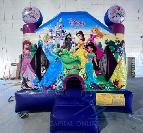 Disney Princess Bouncer