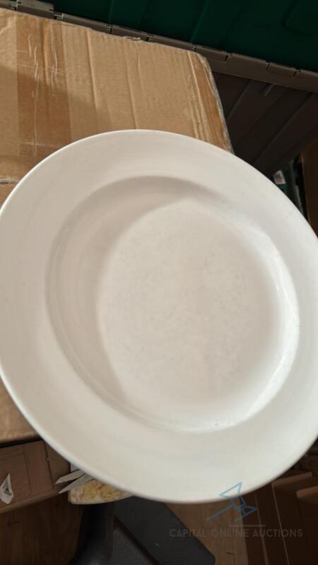 (23) 12 inch Dinner Plate