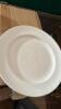 (23) 12 inch Dinner Plate - 2