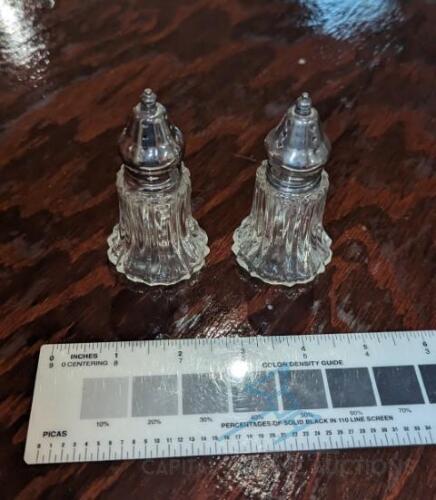 (40) Silver, Glass Shaker Set