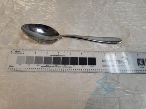 (110) Polished Stainless, Serving 9" Serving Spoon