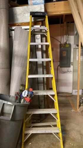 Werner 8 ft Ladder