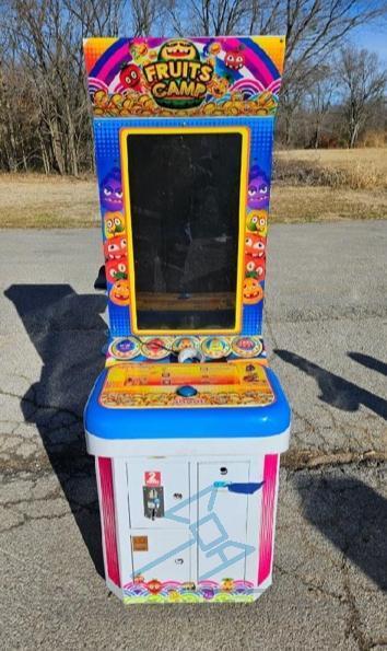 (2) Fruit Camp Coin Arcade