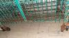 Wheeled Wire Cage - 2