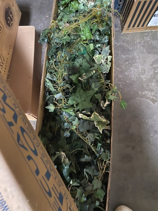 1 Box of Ivy Garlands