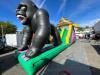 Kong 3 piece Obstacle Course - 16