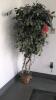 Lot of Artificial Trees - 6