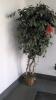 Lot of Artificial Trees - 7