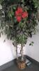 Lot of Artificial Trees - 8