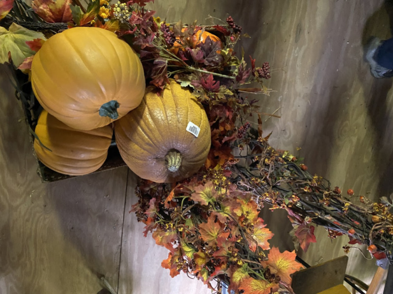 Assorted Fall Decorations