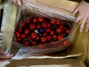 2 Boxes of Red and Purple Ornaments - 4