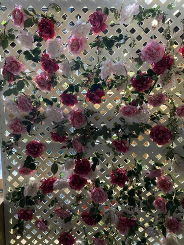 Flower Wall