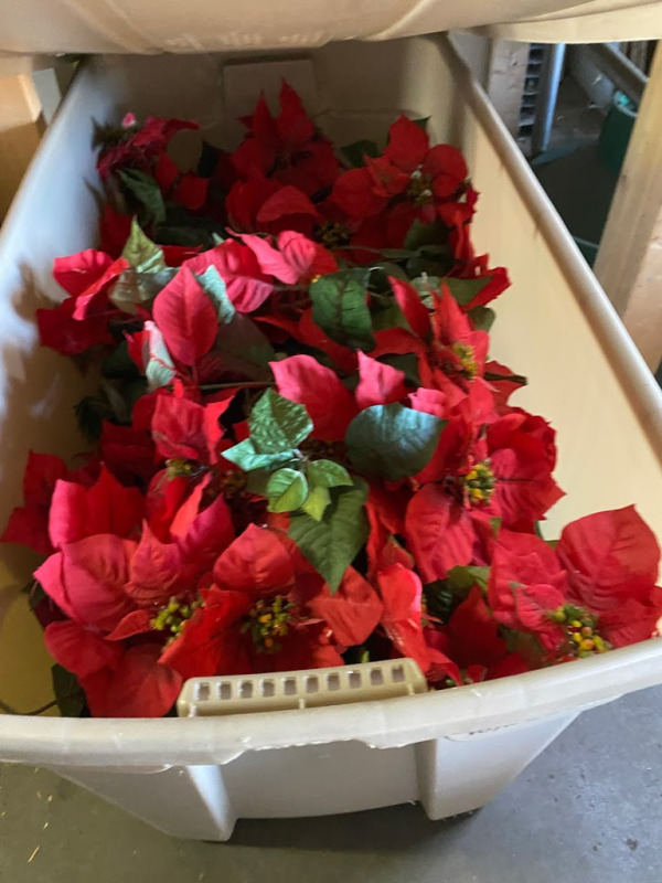 Box of Red Poinsettias