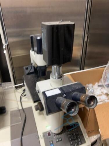 Leica Inverted Phase Contrast Microscope