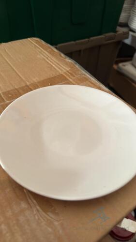 (100) 5 1/2 inch bread/dessert plate