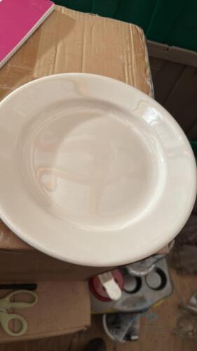 (31) White 9 inch Dinner plate