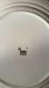 (23) 12 inch Dinner Plate - 8