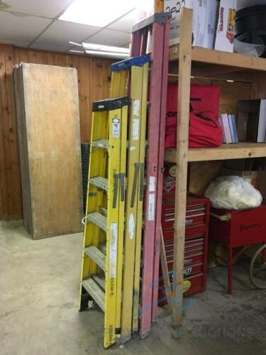 (3) Step Ladders