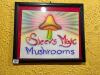Steev's Magic Mushrooms Airbrush Framed Picture