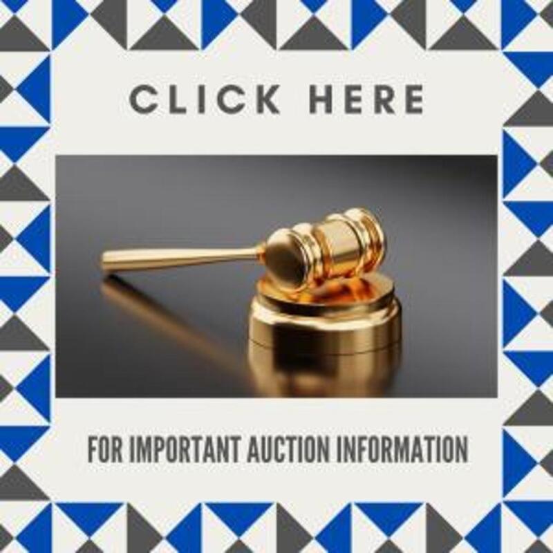 Auction Information(Please Read)