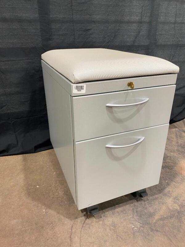 1 Filing Cabinet on Wheels (with key)