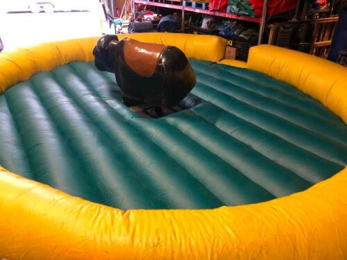 Mechanical Bull/Surf/Snow