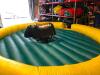 Mechanical Bull/Surf/Snow - 3