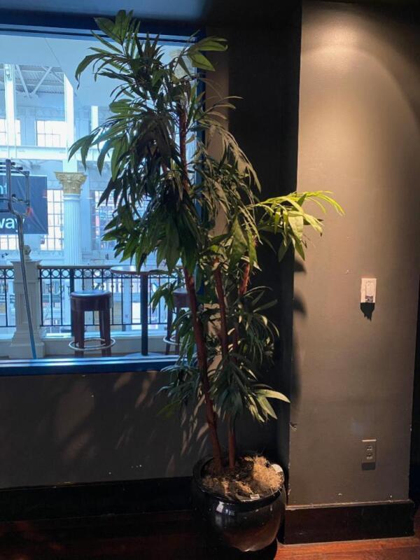 Fake Potted Plant