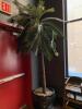 Fake Potted Plant