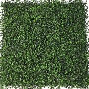 Boxwood Hedgewall Greenery Squares