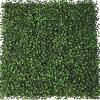 Boxwood Hedgewall Greenery Squares