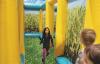 NEW - Corn Maze - 7