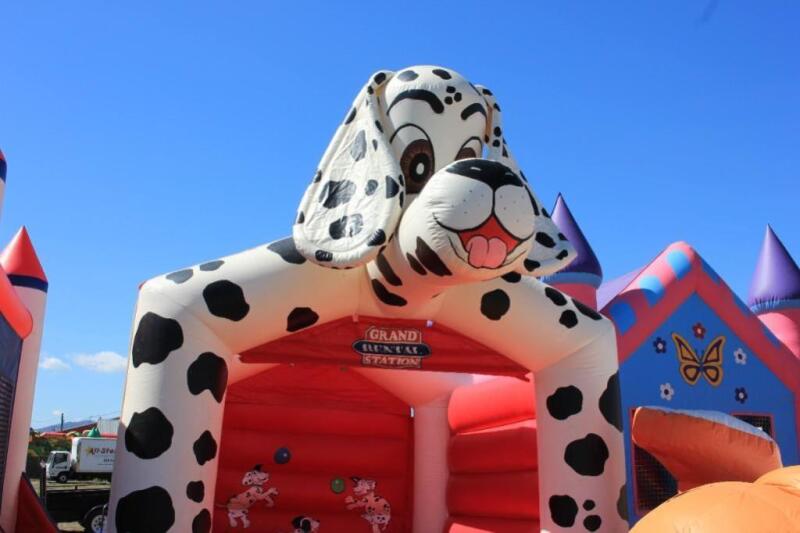 Dalmatian Bouncer