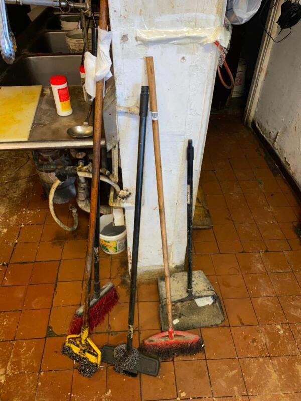 Brooms and Dust Pan