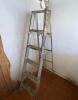 6' Ladder