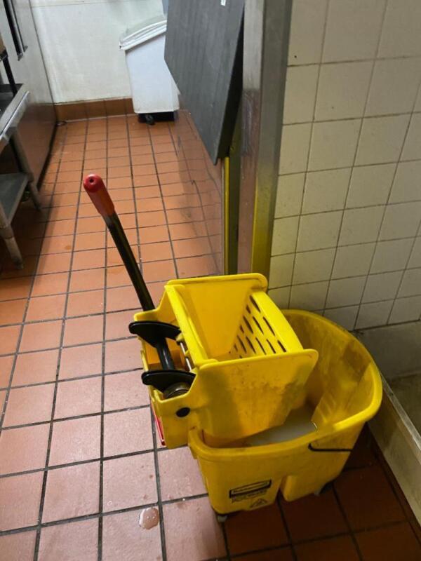 Mop Bucket with Mops