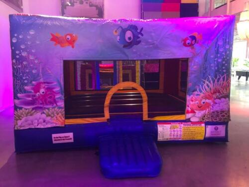 Bounce House with removable themed panel