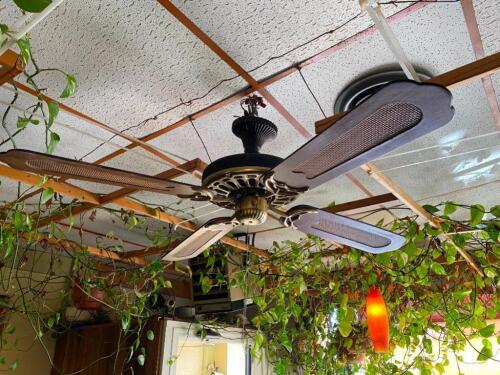 2 Ceiling Fans