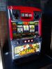 King Camel Paschilo Slot Machine - 2