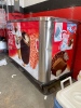 Ice Cream Portable Freezer on wheels - 6