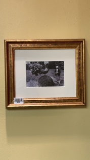 Decorative Framed Photo