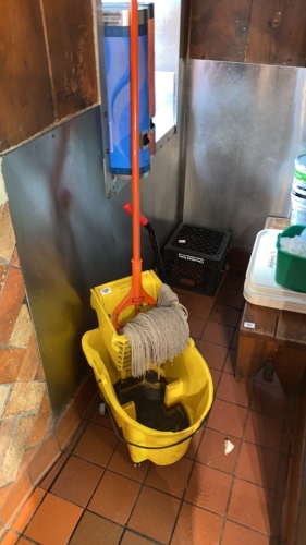 Mop and Bucket