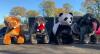 Motorized Tiger, Hippo, Elephant, Panda & Inflatable Course  - 3