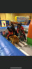 Motorized Tiger, Hippo, Elephant, Panda & Inflatable Course  - 5