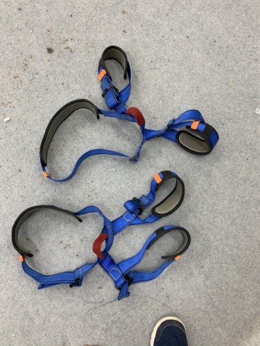 (3) Child Blue Safety Harnesses