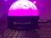 (4) American DJ Jelly Dome Party Lights - 13