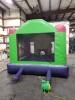 13x13 Tinkerbell Bouncer - 6