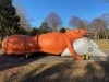 T Rex Inflatable - 2