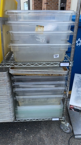 8 Plastic Bins & 15 Plastic Lids